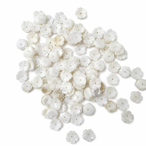 Natural White Shell Beads, Flower, DIY Approx 1mm 