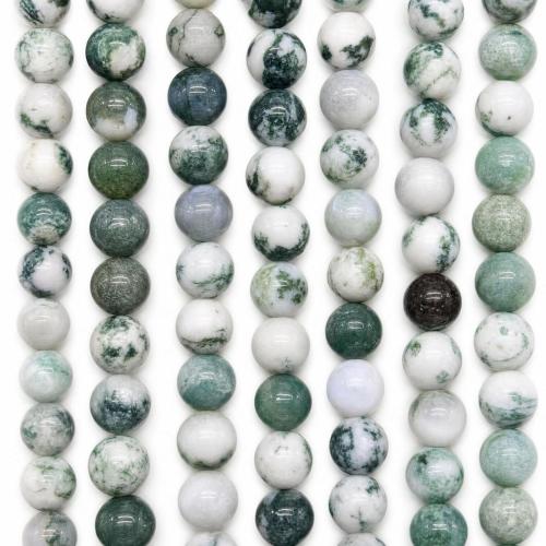 Natural Tree Agate Beads, Round, polished, DIY Approx 38 cm 