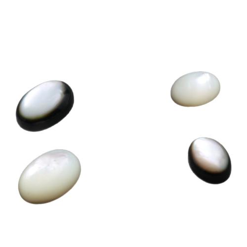 Shell Jewelry Cabochon, Oval, mirror polish, DIY 
