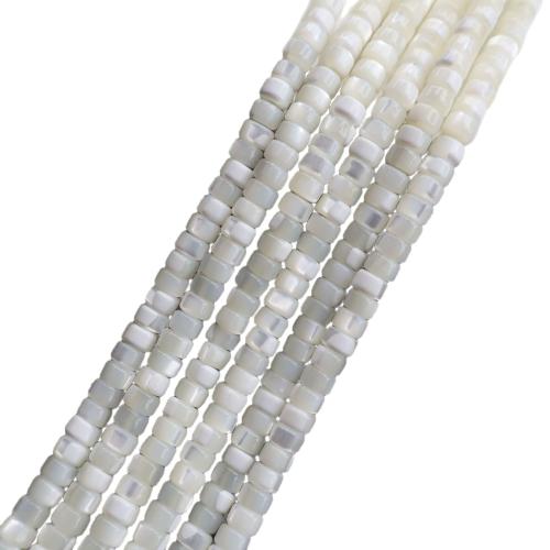 Trochus Beads, DIY Approx 38 cm 