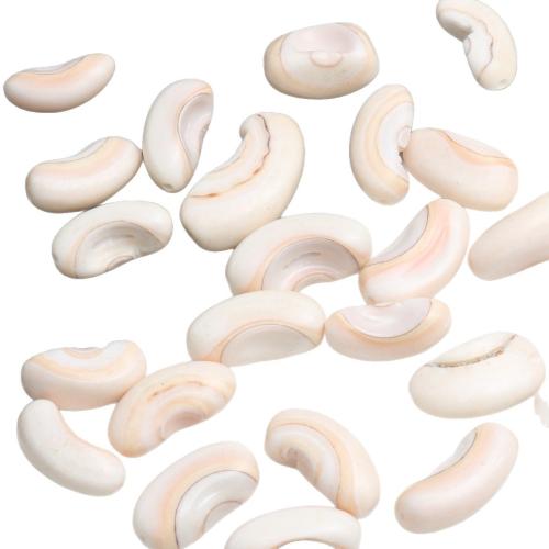 トランペット シェル真鍮ペンダント, 貝, DIY, ホワイト, size 7-18mm, 約 300パソコン/ロト, 500G/ロト, 売り手 ロト