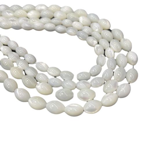 Natural Freshwater Shell Beads, polished, DIY 