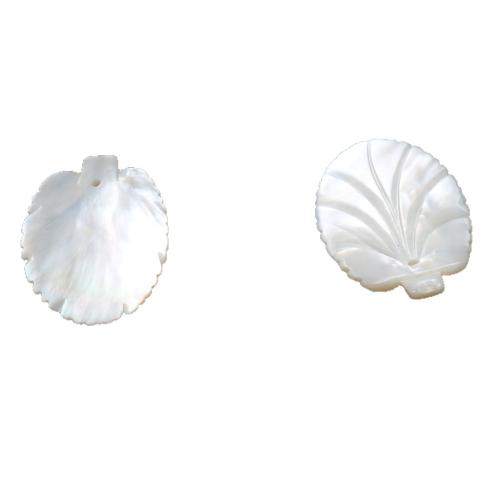 White Shell Pendants, Leaf, DIY, white, 35.80mm 