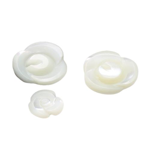 Natural White Shell Beads, Flower, DIY 