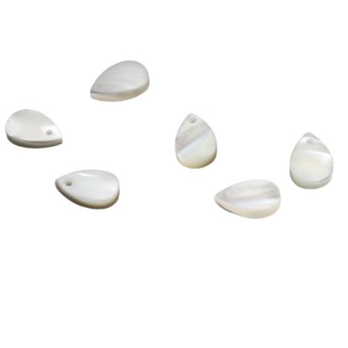 Natural Freshwater Shell Pendants, Horseshoe Shell, Teardrop, DIY, white 
