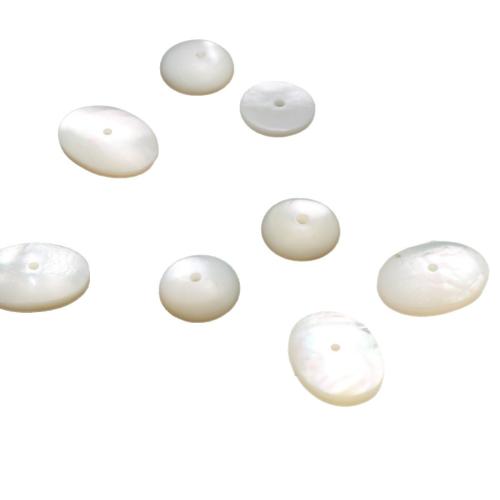 Natural White Shell Beads, DIY 