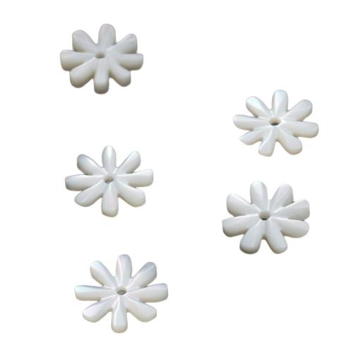 Natural White Shell Beads, DIY 