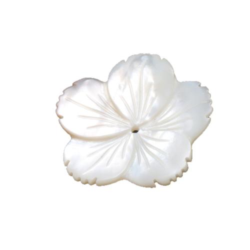 Natural White Shell Beads, American Shell, petals, DIY white 