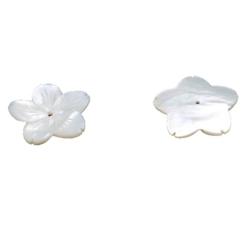 Natural White Shell Beads, American Shell, petals, DIY, white, 25.60mm 