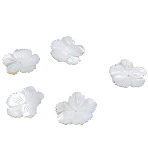 Natural White Shell Beads, petals, DIY, white 