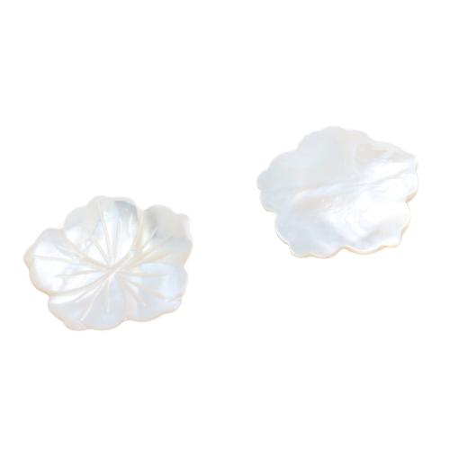 White Shell Cabochon, petals, DIY, white, 30mm 