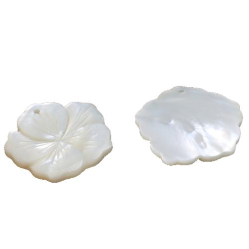 White Shell Pendants, petals, DIY, white, 25mm 
