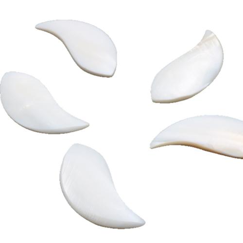White Shell Cabochon, polished, DIY, white 