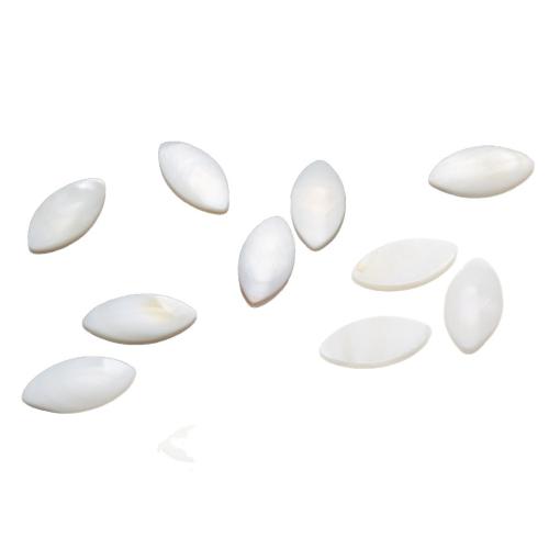 White Shell Cabochon, polished, DIY, white 
