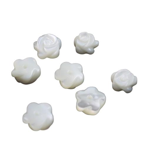 Natural White Shell Beads, Carved, DIY 