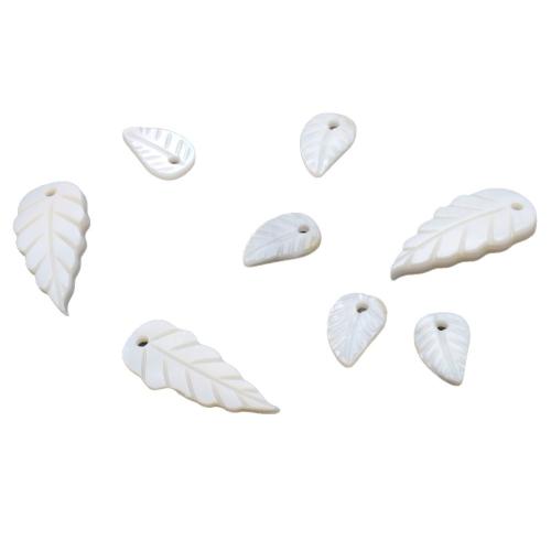 White Shell Pendants, Carved, DIY 