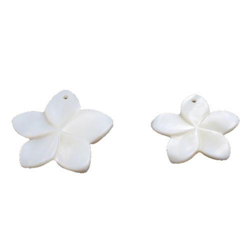 White Shell Pendants, polished, DIY 