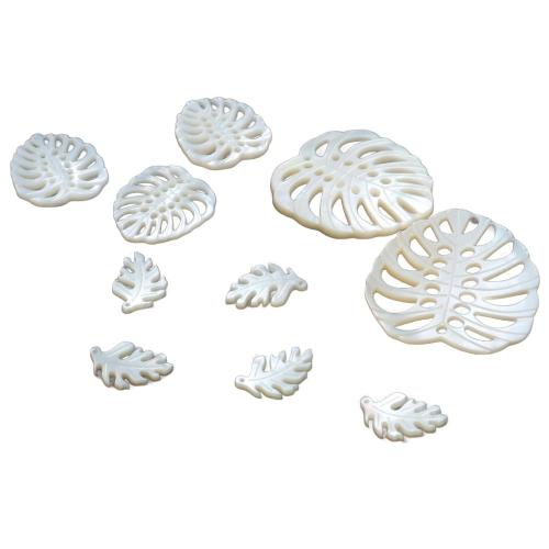 White Shell Pendants, Carved, DIY 