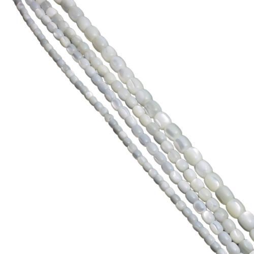 Natural Freshwater Shell Beads, Drum, polished, DIY 