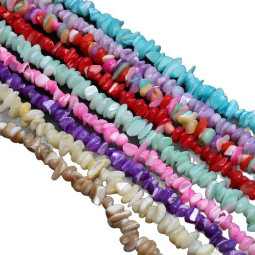 Dyed Shell Beads, irregular, DIY 