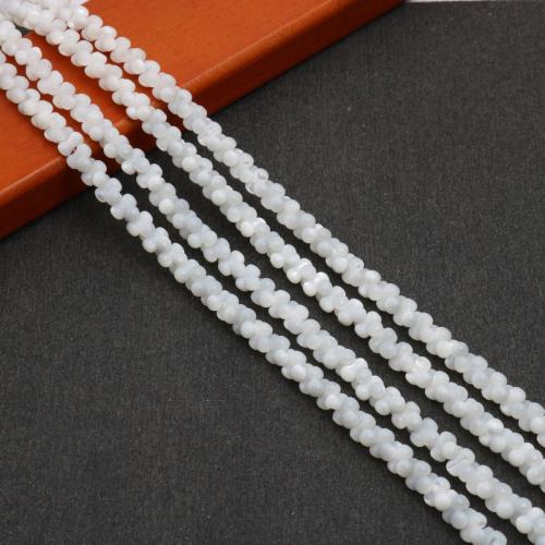Natural Freshwater Shell Beads, polished, DIY  