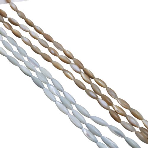 Natural Freshwater Shell Beads, Rice, polished, DIY 