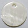 Dyed Shell Pendants, Flat Round Grade A, 12.5mm 