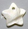 Dyed Shell Pendants, Star Grade A, 13mm 