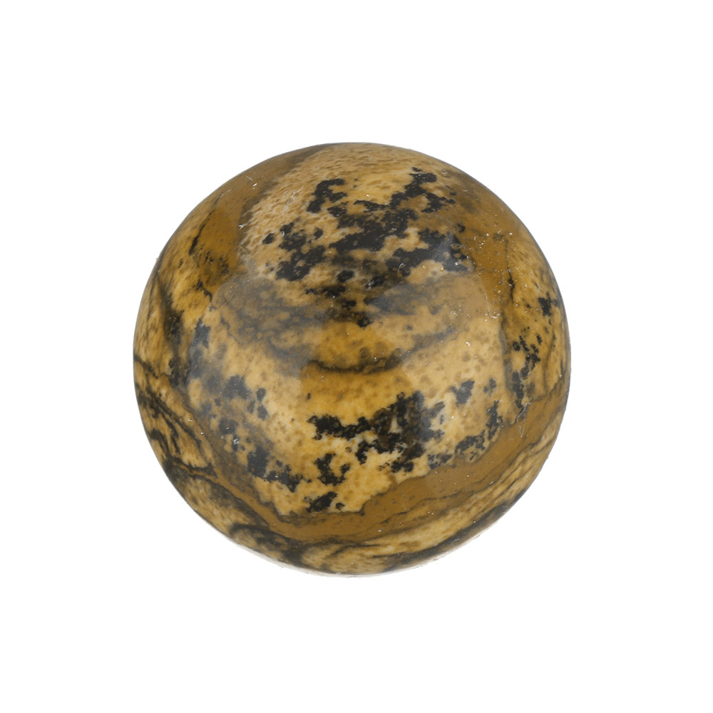 2:Picture Jasper