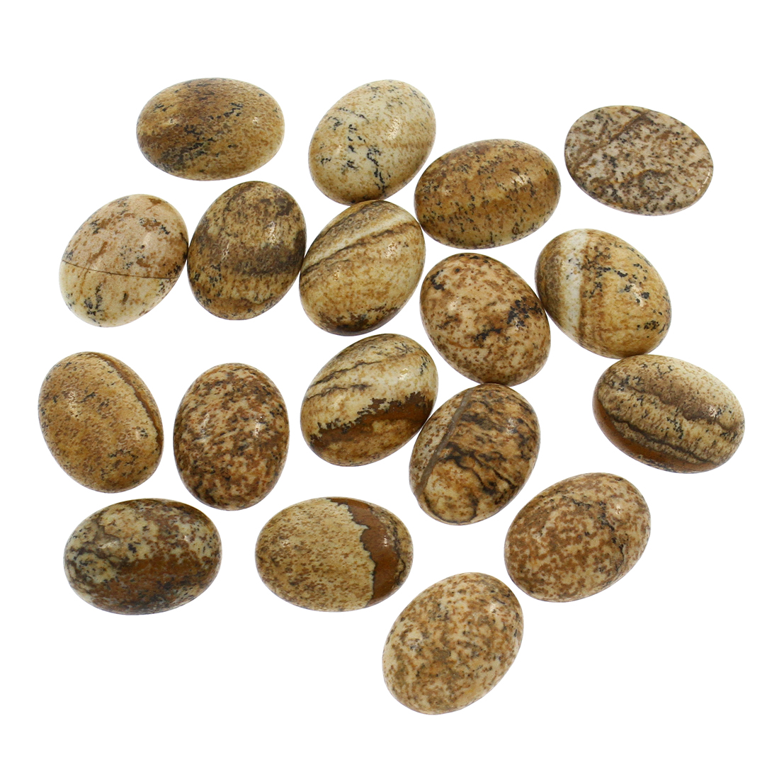 13:Picture Jasper