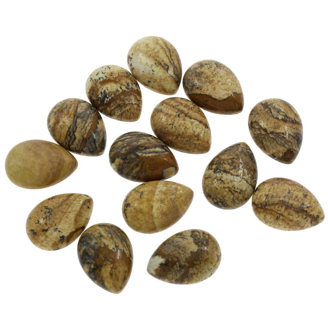 11:Picture Jasper