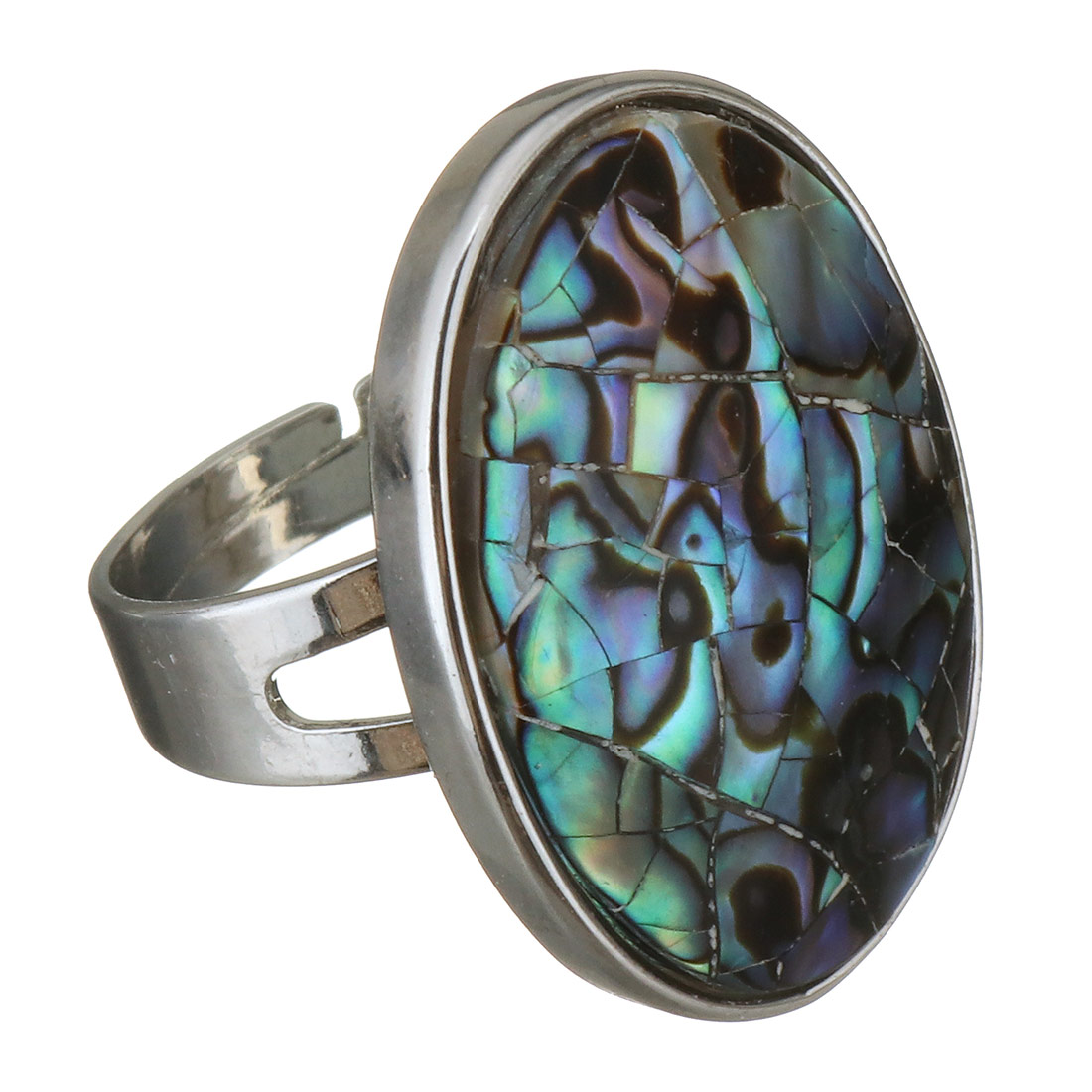 1:abalone shell