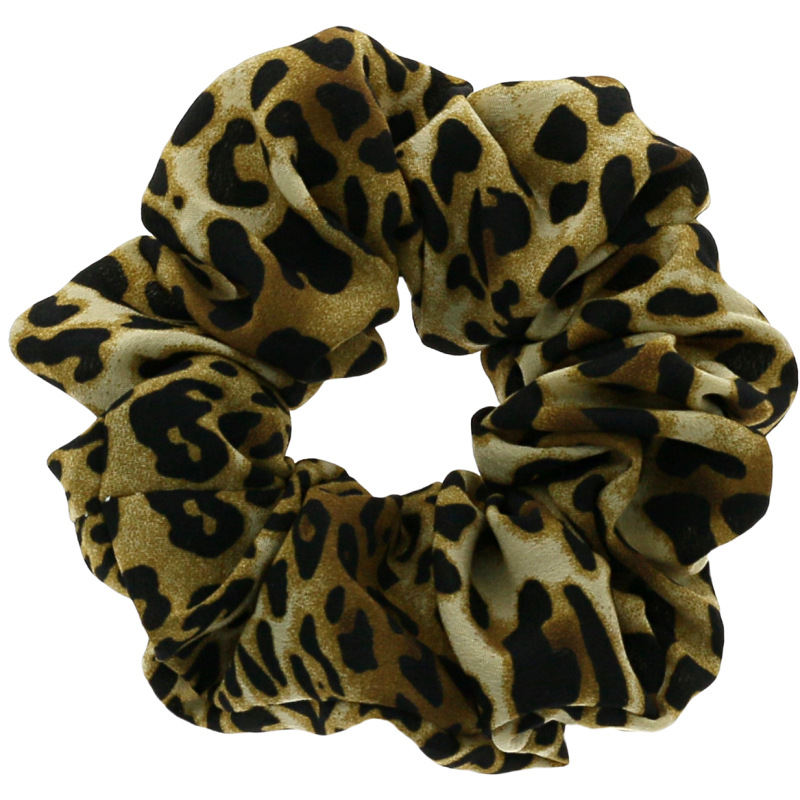 leopard 4