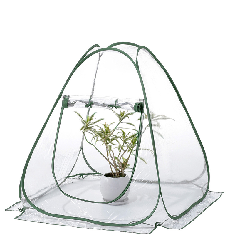 Army Green   Transparent