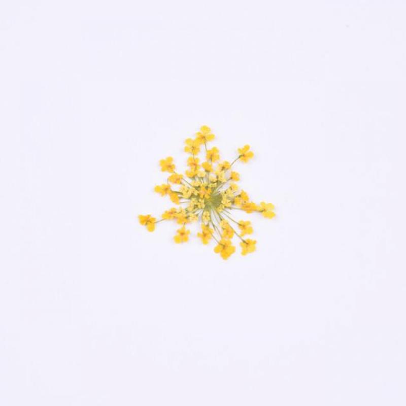 Yellow (a pack of 100 flowers)