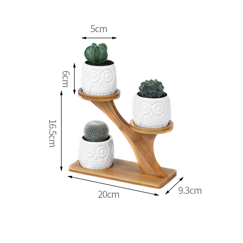 Owl   treetop (without plants)