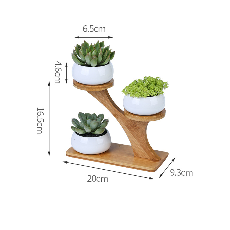 Small oblate   treetop (without plants)