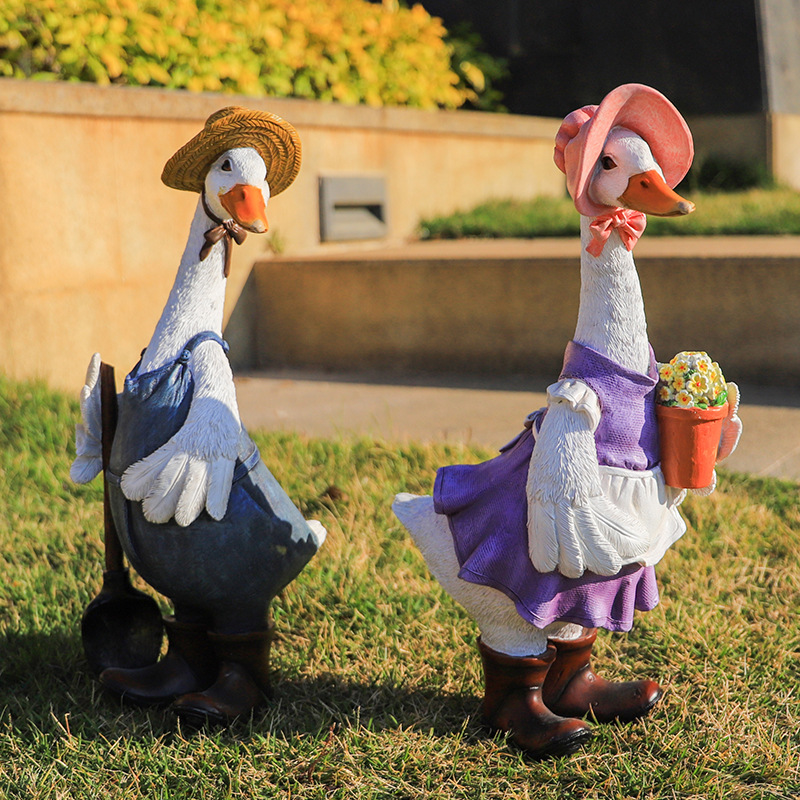 Male and female duck