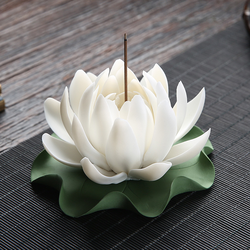 17:White lotus   lotus leaf bottom