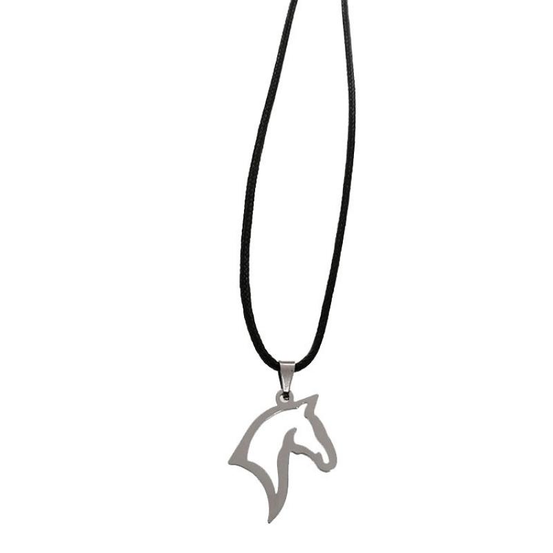 Silver pendant + leather rope