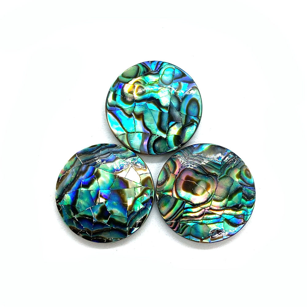 abalone shell 