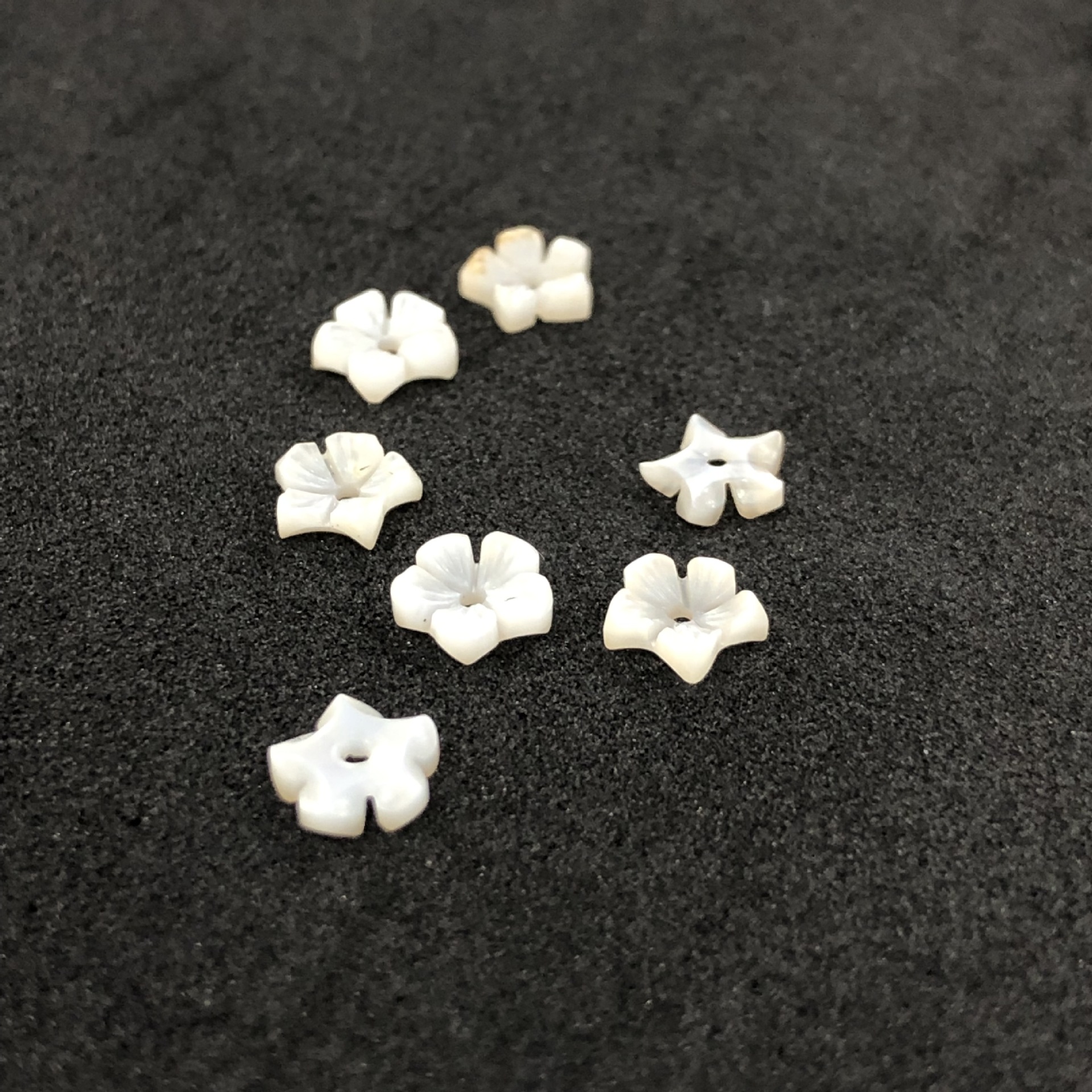 white shell   8mm