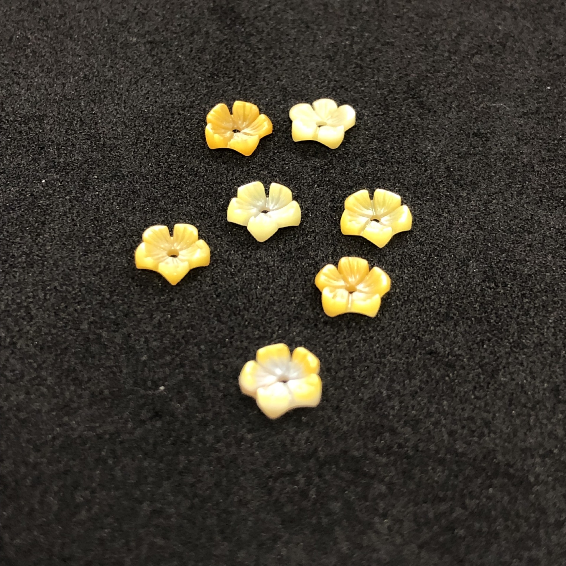 yellow shell  12mm