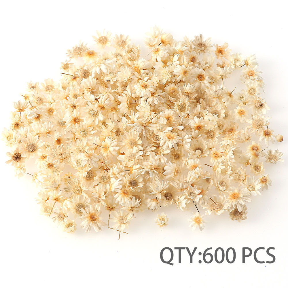 5:600 original colors