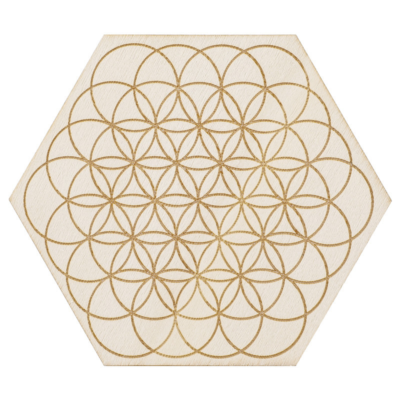 8:Flower of Life -1