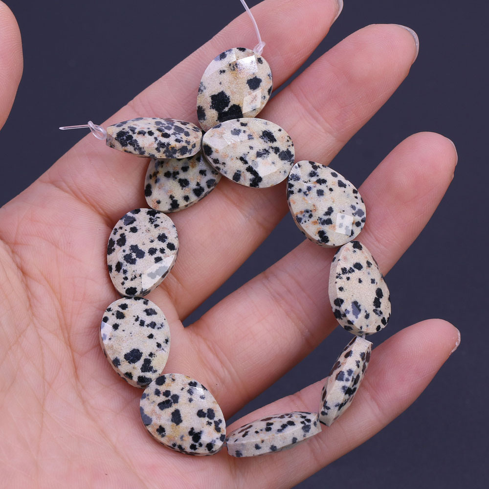 14:dalmata