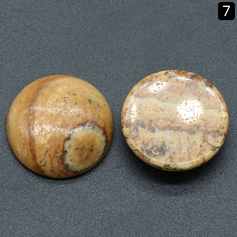 7:Picture Jasper