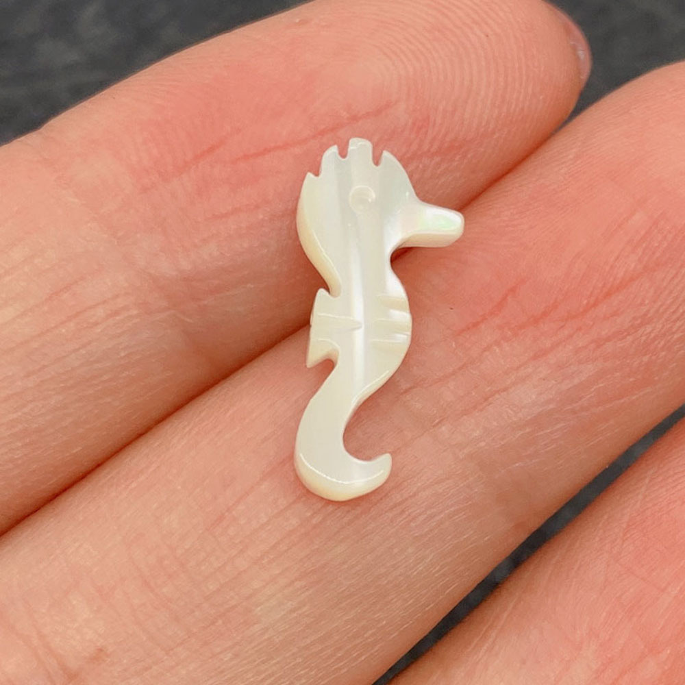 1:hippocampus 7x17mm