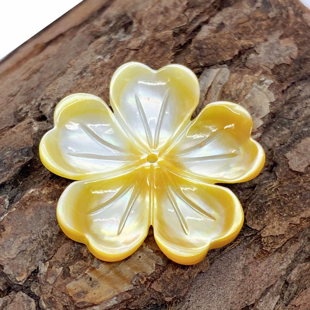 2:yellow shell