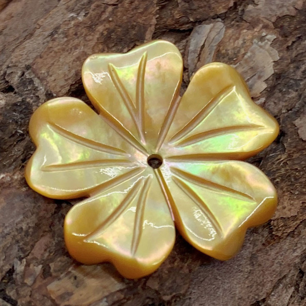 8:yellow shell 20mm